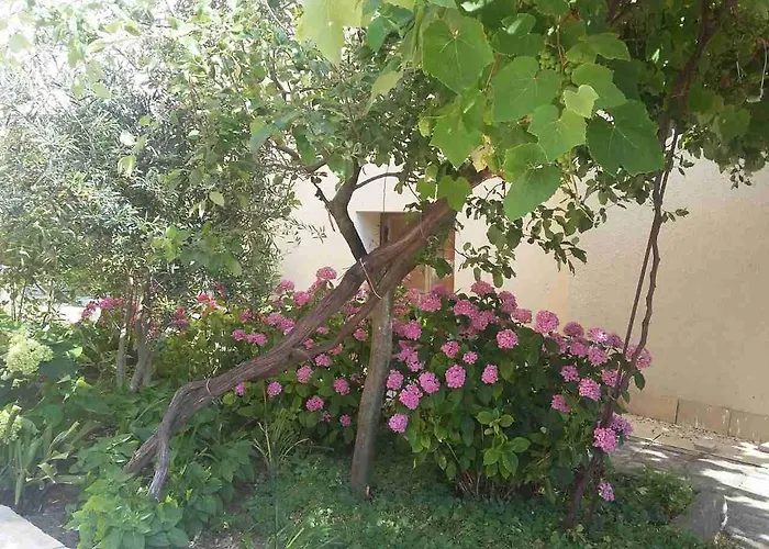Guest House Adriya